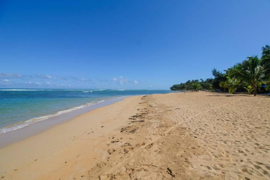 Palmeraie Terrenas beach apartamento Las Terrenas Bagian luar foto